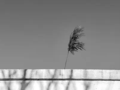 Kasino Classy Slots Mobilná aplikácia